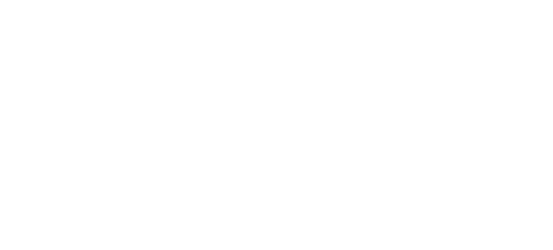 nfa-logo-white