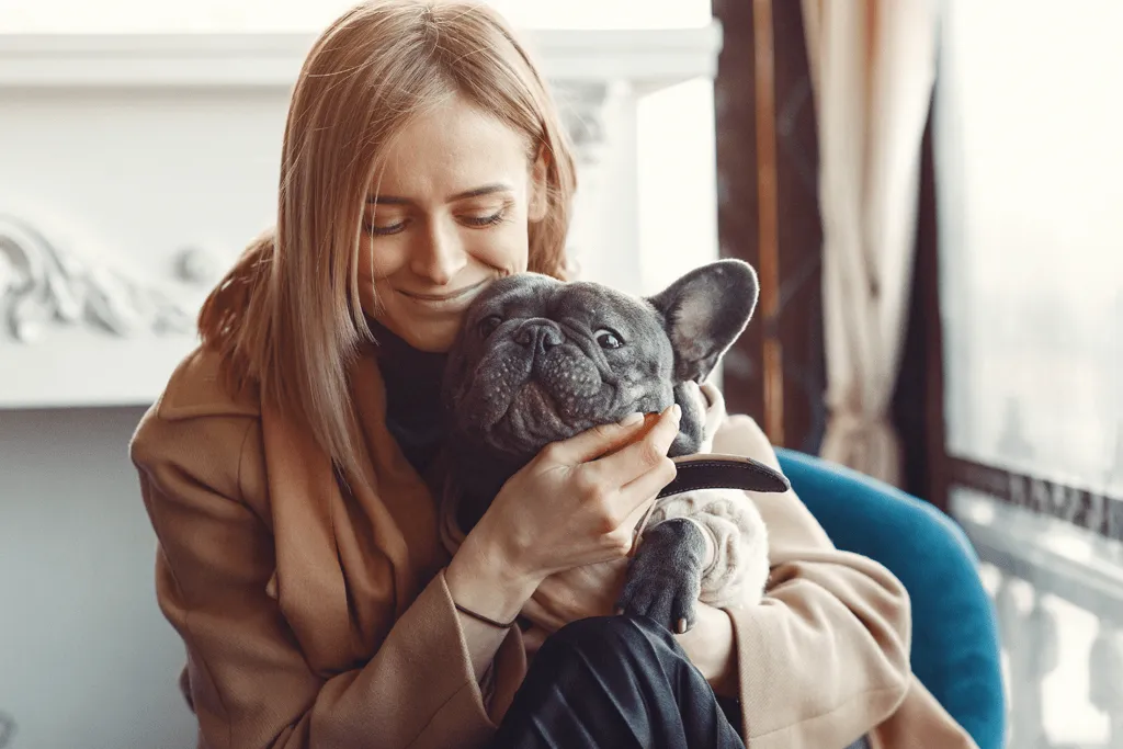 dog daycare franchises