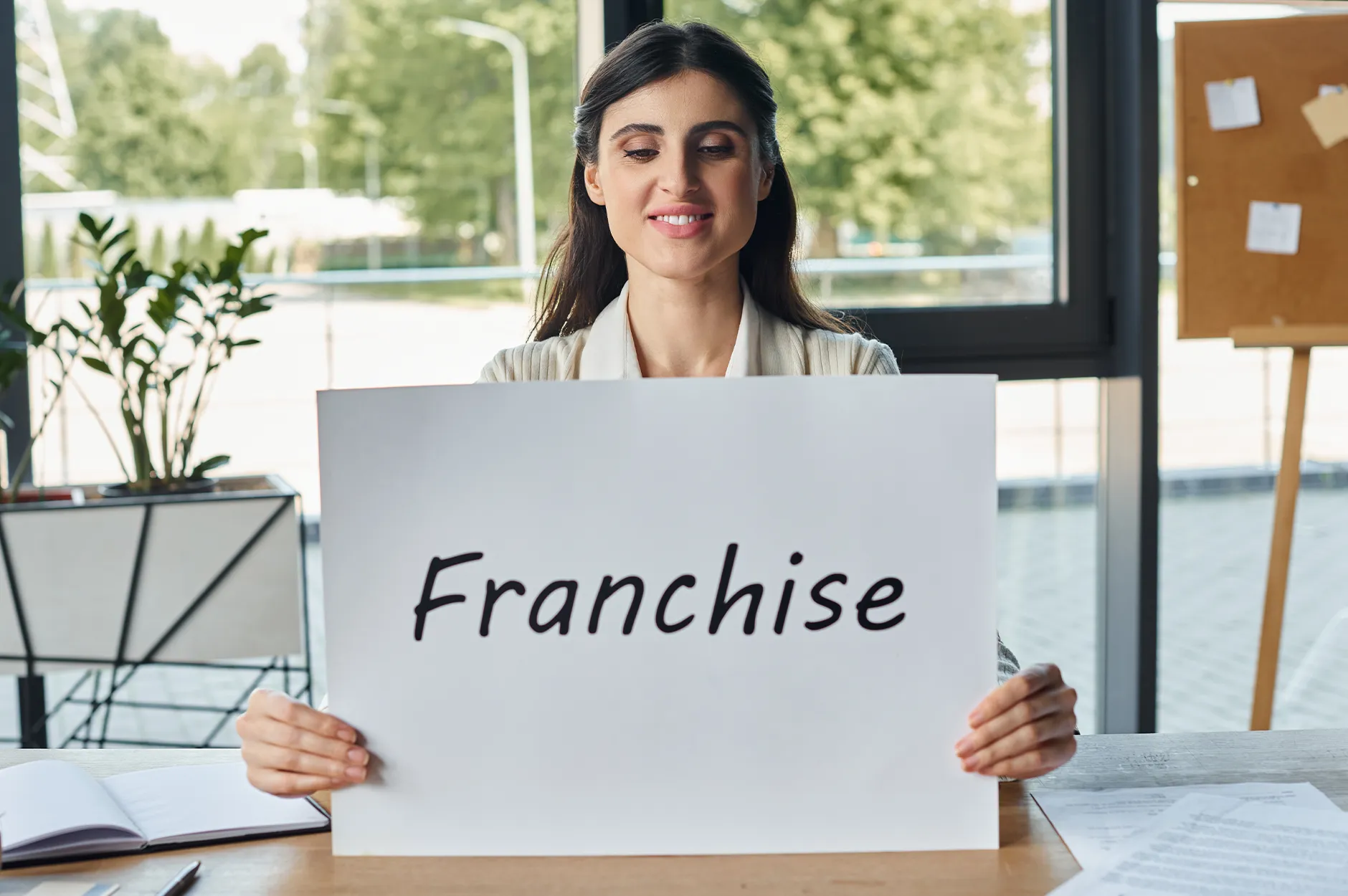 what is a franchise