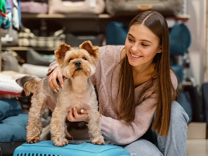 factors-to-consider-when-owning-a-franchise